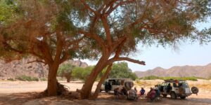 A group of tourists sitting on chairs under a wide tree in a dry riverbed.
