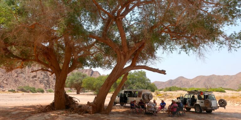 A group of tourists sitting on chairs under a wide tree in a dry riverbed.
