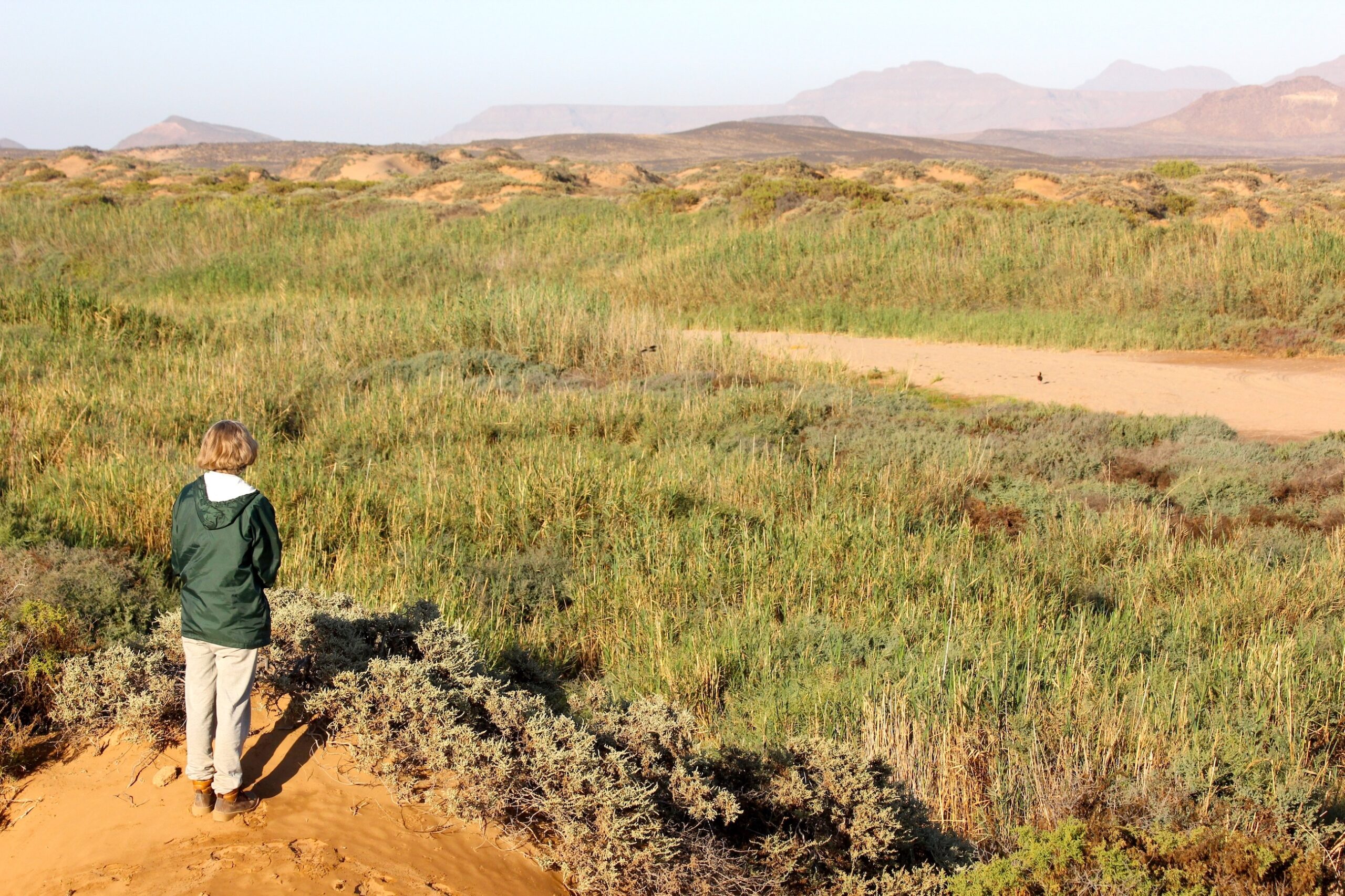 A woman stands in the foreground looking out across a grassy and sandy river plain.