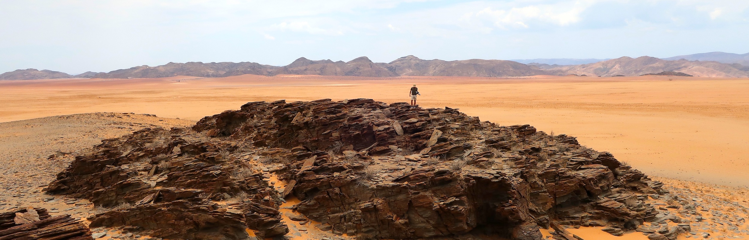A figure stands on a rocky outcrop with a wide desert plain behind them.